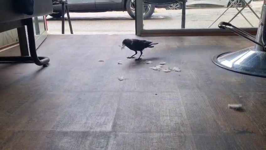 Bursa'da erkek kuaförlüğü yapan