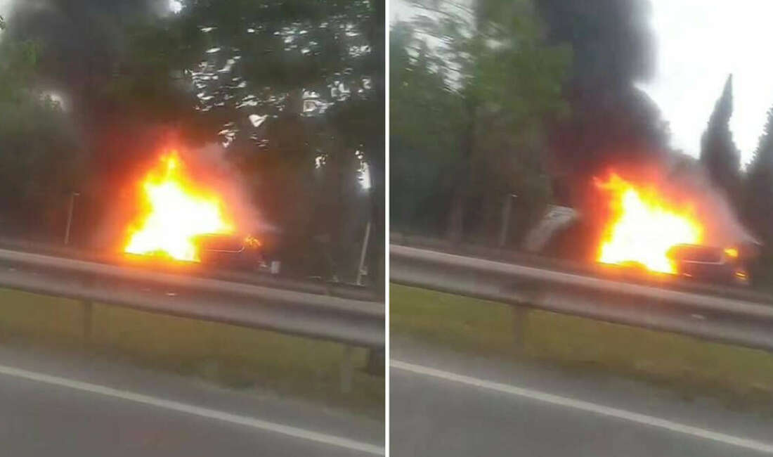 Yalova-Bursa yolunda seyir halindeki