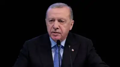 Cumhurbaşkanı Erdoğan, "İstanbul'un fethini hala