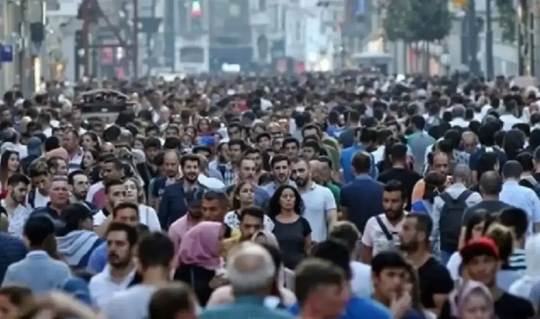 Türkiye İstatistik Kurumu (TÜİK),