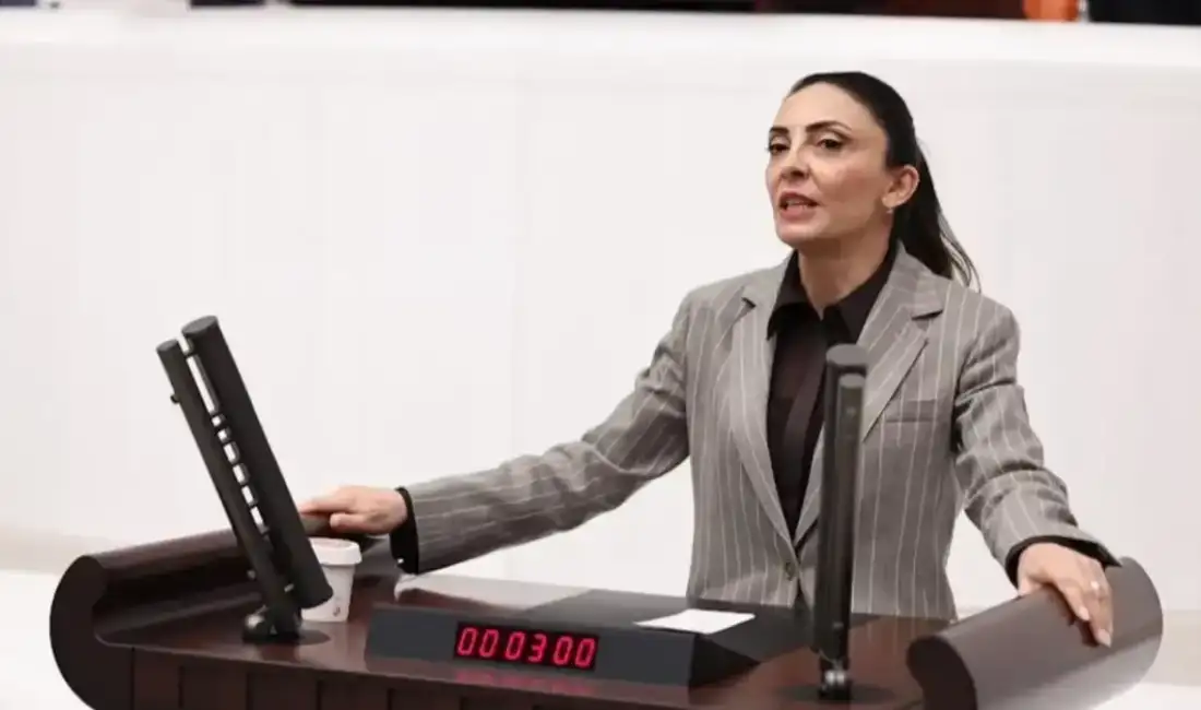 CHP Genel Başkan Yardımcısı