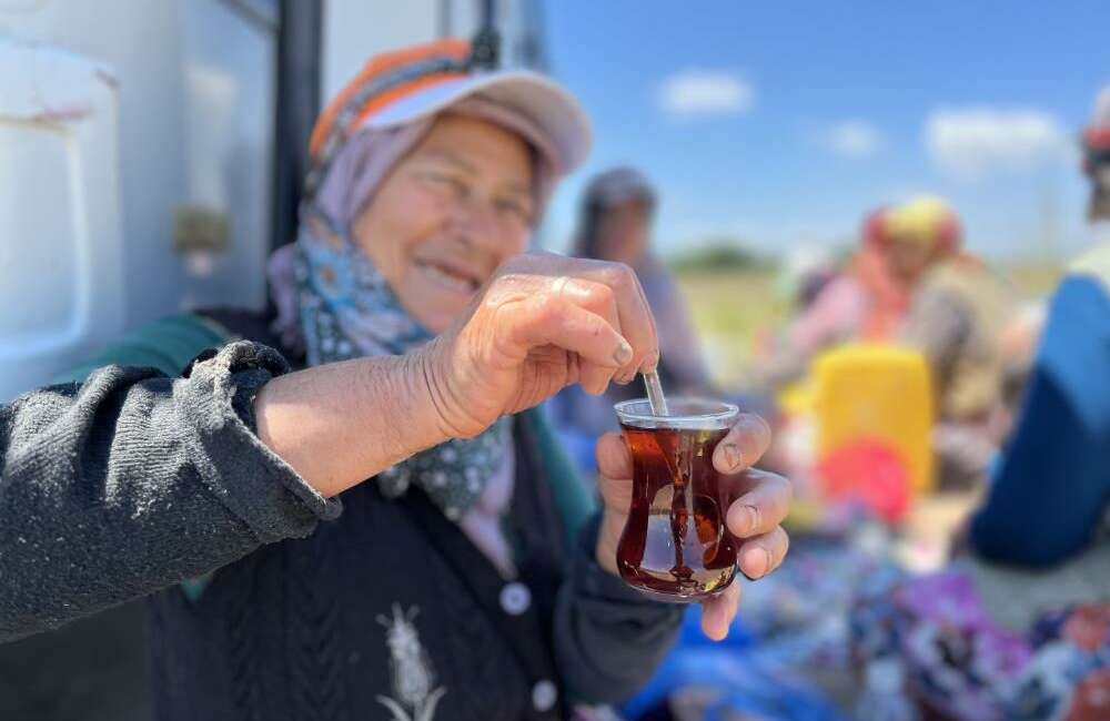 Bursa’da tarım işçileri bu çayla soluk alıyor Bursa'nın önemli tarımsal üretim