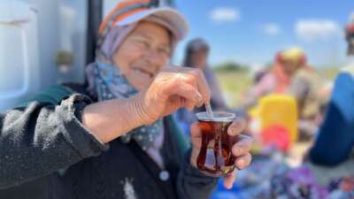 Bursa'nın önemli tarımsal üretim merkezlerinden