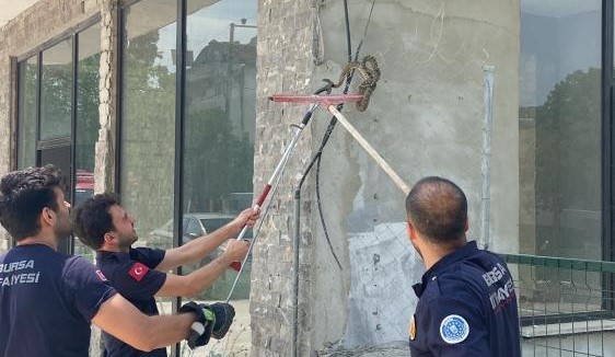 Bursa'da bir iş