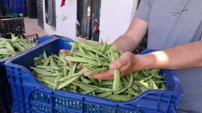 Bursa'nın İznik ilçesine bağlı Boyalıca