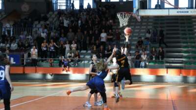 TBF tarafından düzenlenen yerel ligde