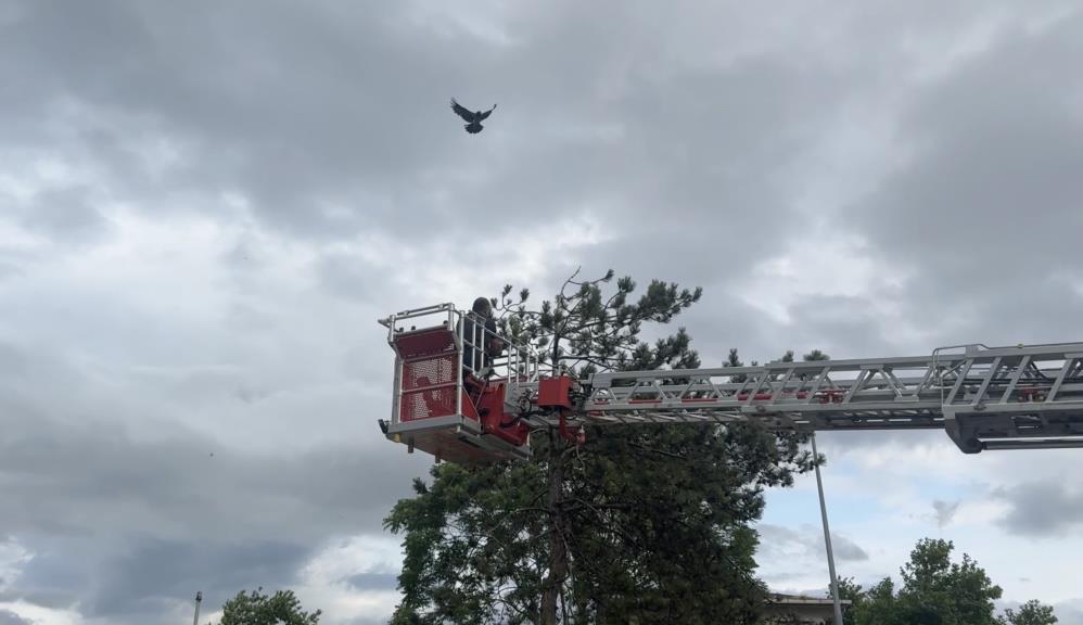 Bursa’da bir garip kurtarma olayı! Bursa'nın Mudanya ilçesi