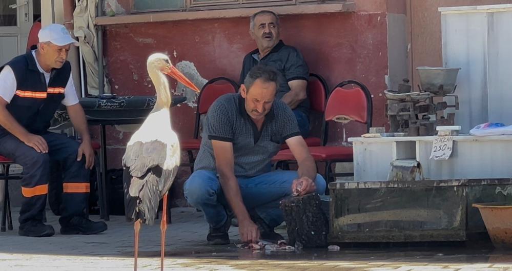 Bursa’da çok farklı bir leylek hikayesi daha! Bursa'nın Nilüfer ilçesine