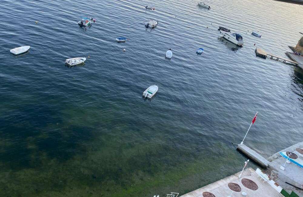 Gemlik’te bu kez yüzleri güldüren görüntü! Marmara Denizi'nde geçtiğimiz hafta müsilaj