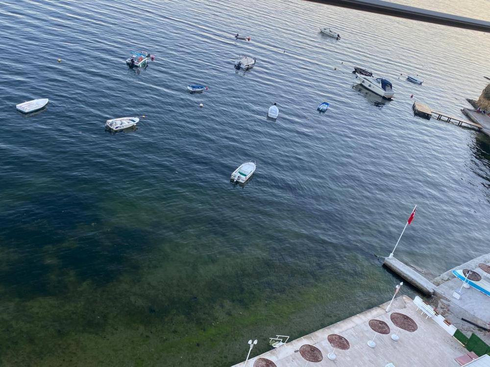 Gemlik’te bu kez yüzleri güldüren görüntü!