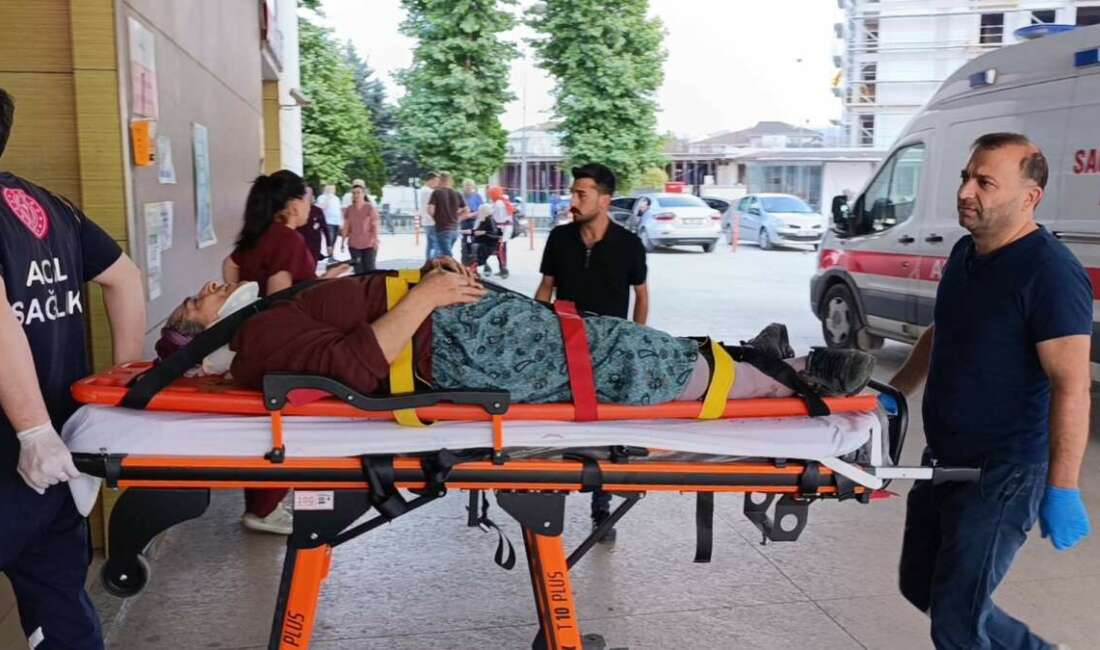 Kiraz toplamak için çıktığı ağaçtan düşerek yaralandı Bursa'nın İnegöl ilçesinde kiraz