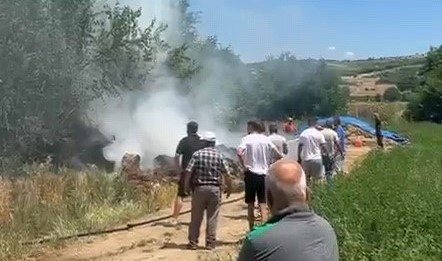 Bursa'nın İnegöl ilçesinde çıkan
