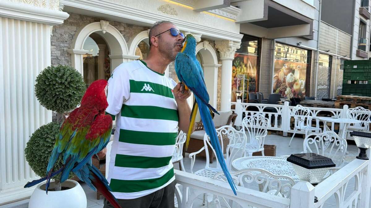 Omzundaki Makavlarla ilçenin ilgi odağı dldu
