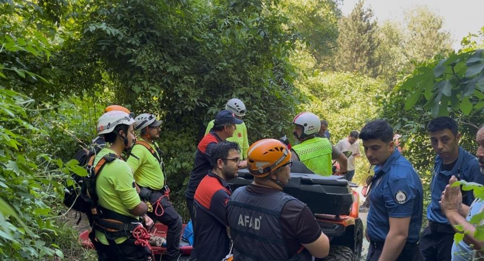 Bursa'dan Uludağ'a ıhlamur