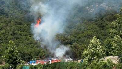 Bursa'da ağaçlık alanda çıkan yangın