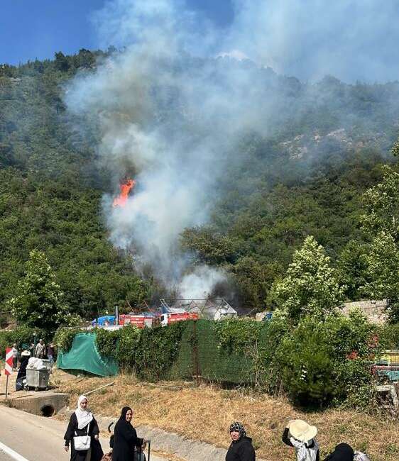 Bursa'da ağaçlık alanda çıkan yangın