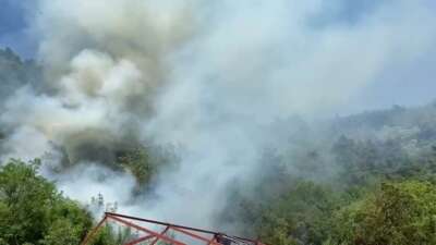 Bursa'da ağaçlık alanda çıkan yangın