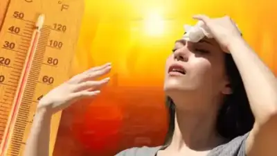 Avrupa genelinde etkisini artıran aşırı