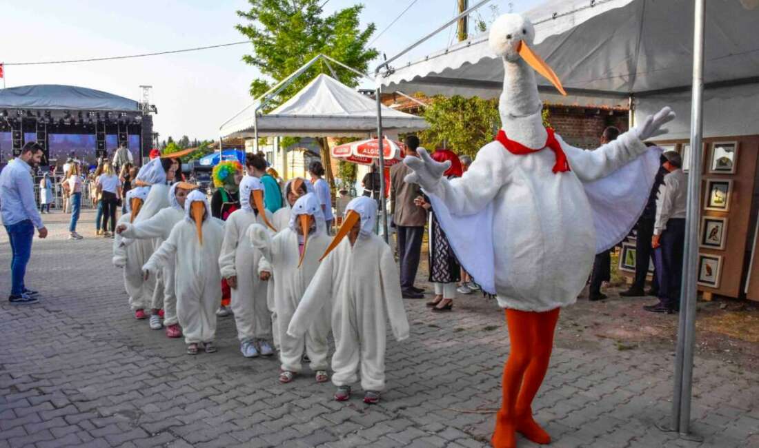 Leylek Şenliği Eskikaraağaç’ta başlıyor Karacabey’in dünyaca ünlü Eskikaraağaç