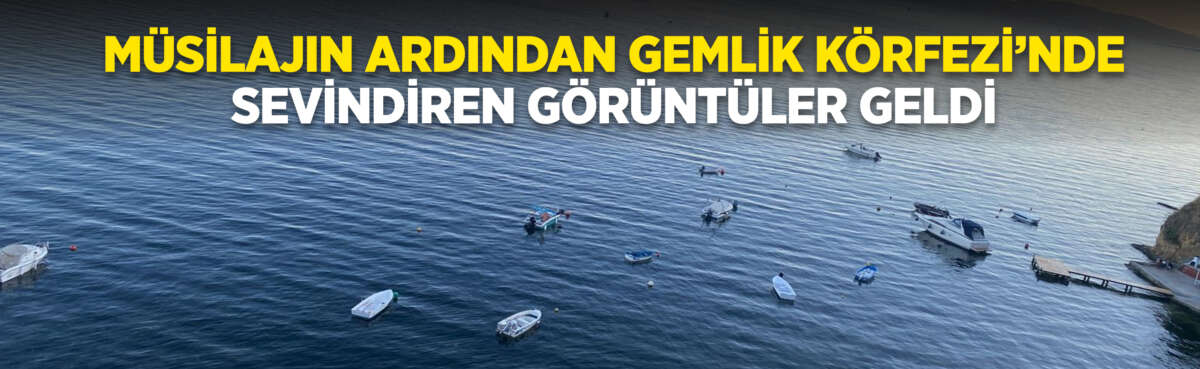 Marmara Denizi'nde geçtiğimiz hafta müsilaj