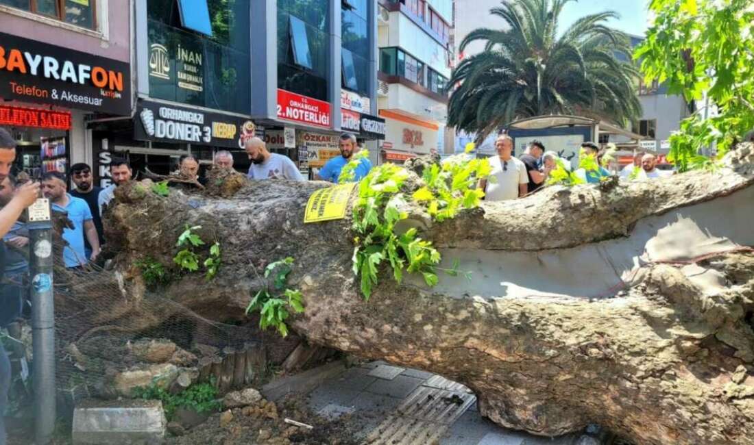 Bursa’nın Orhangazi ilçesinde tarihi