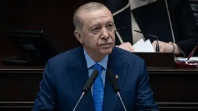 Cumhurbaşkanı Erdoğan, mutlak butlan kararıyla