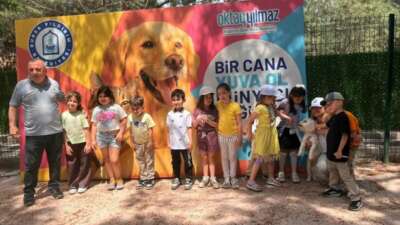 Yıldırım Belediyesi Sahip Sokak Hayvanları