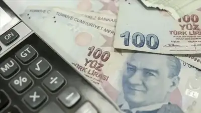 Türkiye Büyük Millet Meclisi (TBMM)