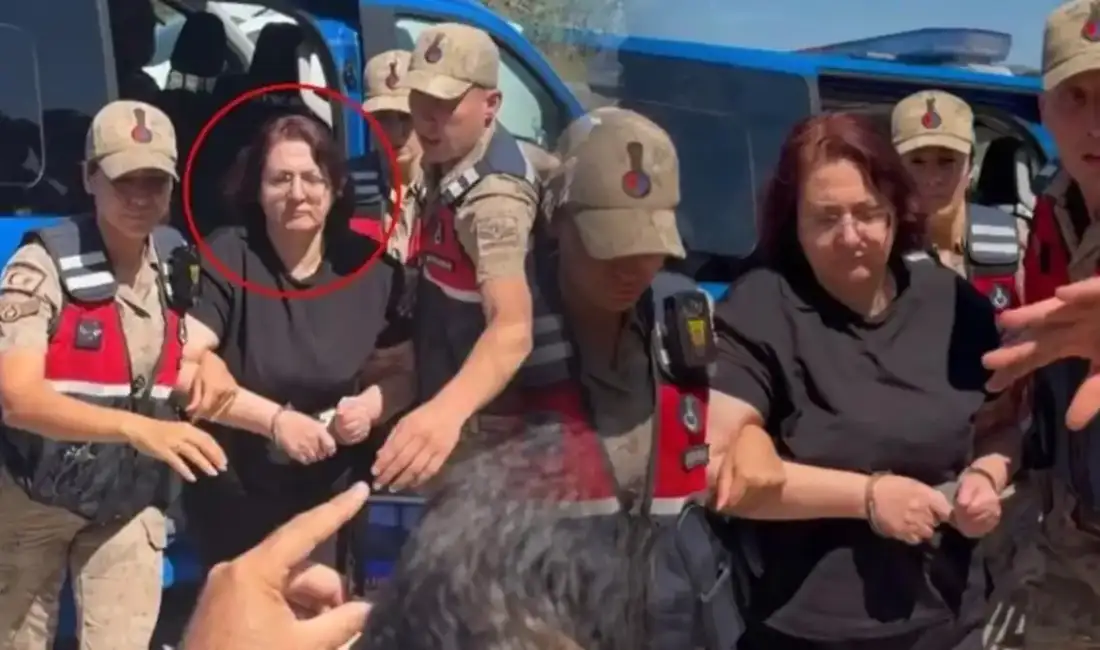 Gülistan Doku'nun kaybolmasına ilişkin