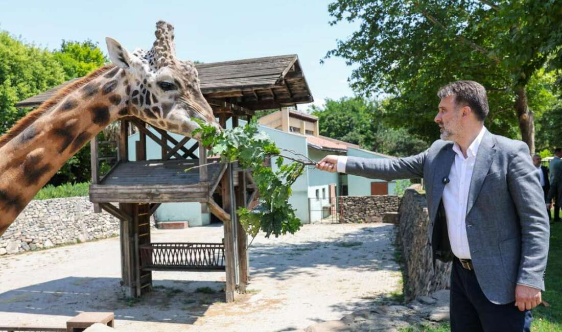 Şahin Biba, Bursa Hayvanat Bahçesi’nde incelemelerde bulundu! Bursa Büyükşehir Belediye Başkan
