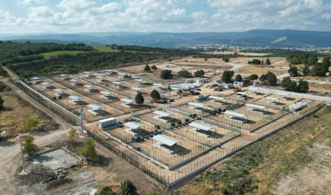 Bursa Büyükşehir sokak hayvanlarını da düşünüyor; Nisan 2027’de bitecek Bursa Büyükşehir Belediyesi Başkan