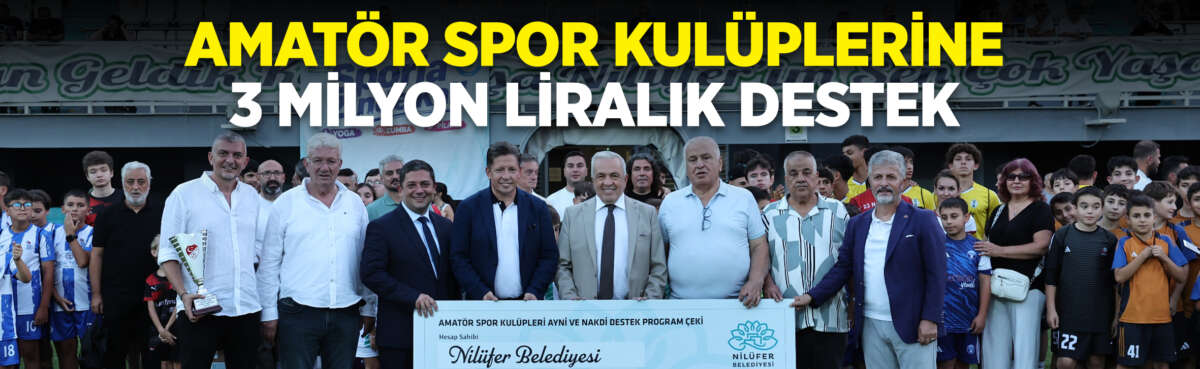 Nilüfer Belediyesi, Amatör Spor Kulüpleri