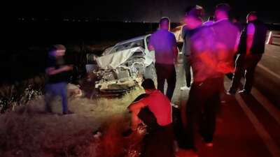 Şanlıurfa'nın Siverek ilçesinde otomobilin karayolundaki