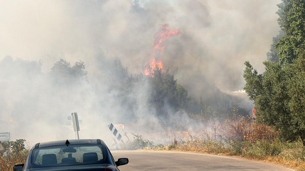 Bursa İznik’te çöplükte başlayan alevler ormana sıçradı Bursa'nın İznik ilçesine bağlı