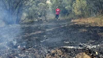 Bursa'nın Mudanya ilçesinde çıkan ve