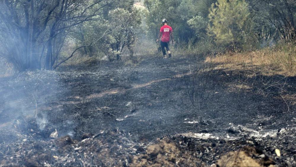 Bursa Mudanya’da alevlerle mücadele; Kontrol altına alındı Bursa'nın Mudanya ilçesinde çıkan
