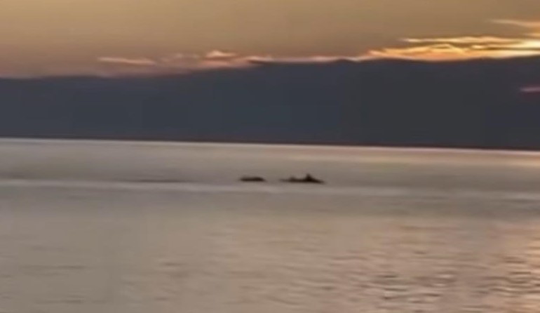 Bursa Gemlik’te mest eden görüntü Bursa’da sabahın ilk ışıklarıyla