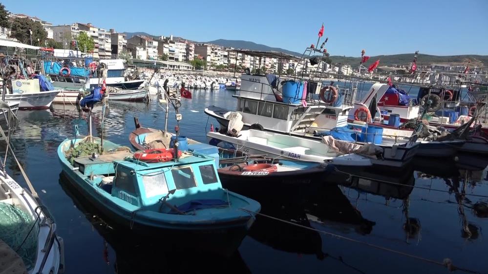 Bursa'nın Gemlik ilçesinde geçimini