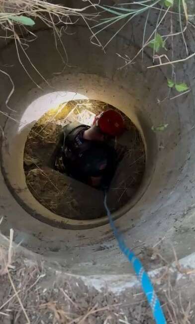 Bursa’da rögara düşen keçi böyle kurtarıldı Bursa'nın İnegöl ilçesinde açık