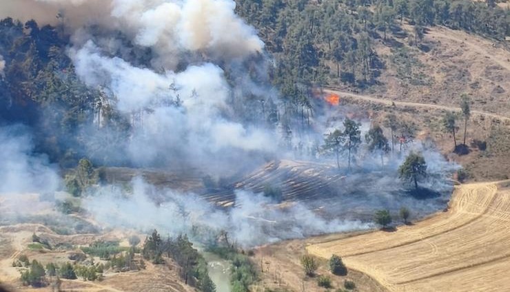 Bursa Büyükorhan’da yangın; Havadan, karadan müdahale ediliyor Bursa'nın Büyükorhan ilçesinde otluk