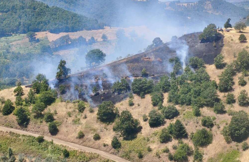 Bursa’daki yangına anında müdahale! Gemlik'te ziraat alanında çıkan