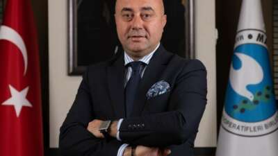 Marmara Zeytin Tarım Satış Kooperatifleri