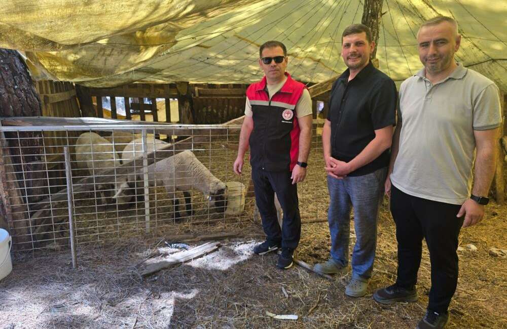 Orhaneli’de hayvan yetiştiren işletmelere denetim Bursa'nın Orhaneli ilçesinde Tarım