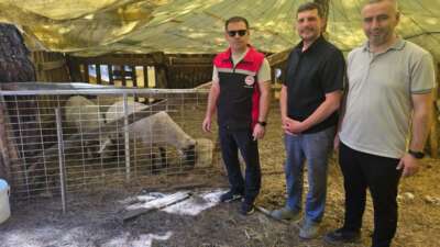 Orhaneli’de hayvan yetiştiren işletmelere denetim Bursa'nın Orhaneli ilçesinde Tarım ve