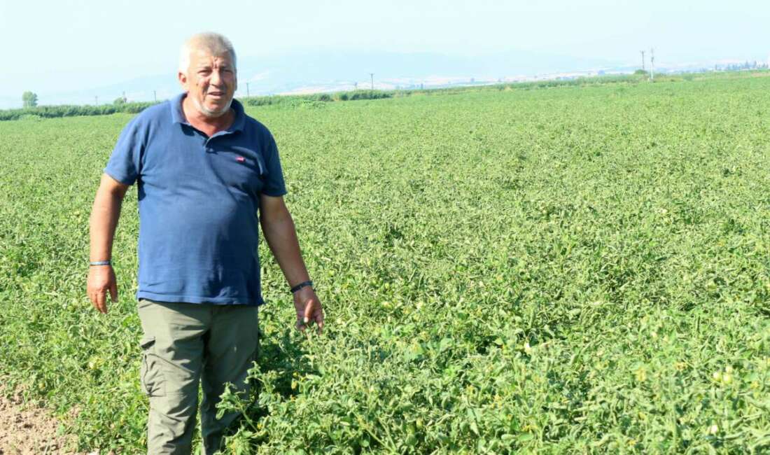 Karacabey Ziraat Odası Başkan