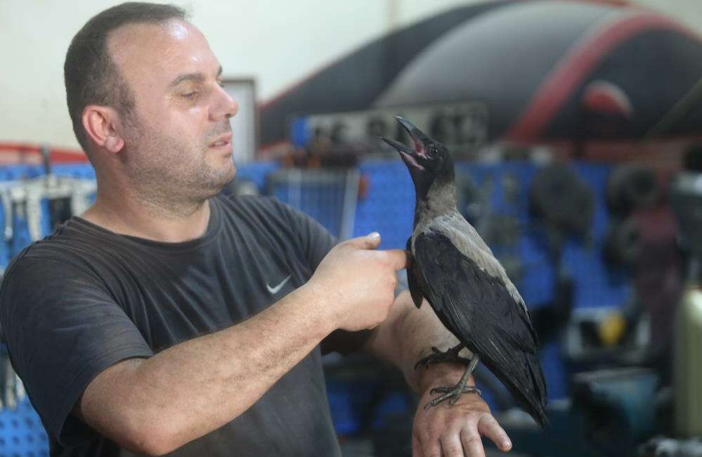 Bursa'da otomobil tamircisi Murat