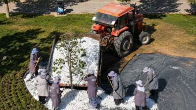 Karacabey Belediyesi Park ve Bahçeler