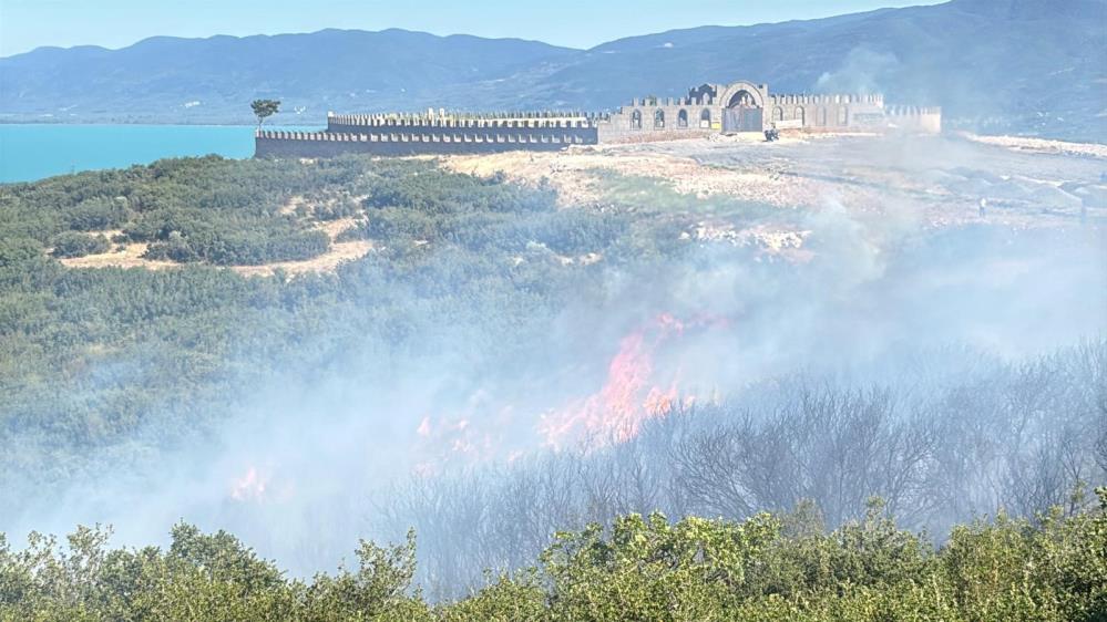 Bursa’da ormanlık alanda yangın paniği Bursa'nın Orhangazi ilçesinde
