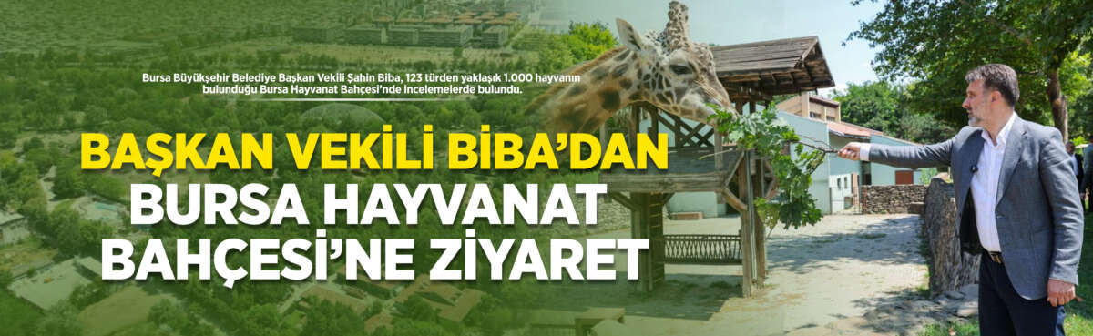 Bursa Büyükşehir Belediye Başkan Vekili