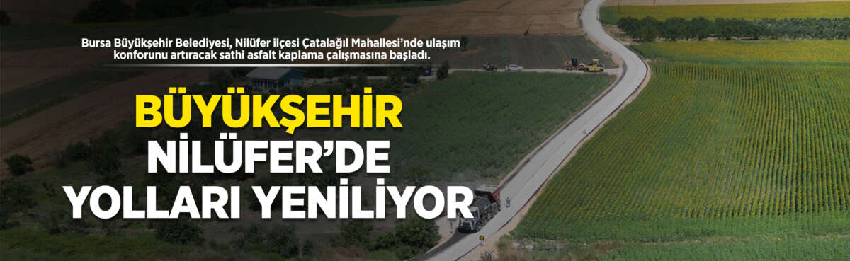 Bursa Büyükşehir Belediyesi, Nilüfer ilçesi